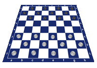 C) 9th Dimension Chess (C) Route 66 Checkers - 9thdchess